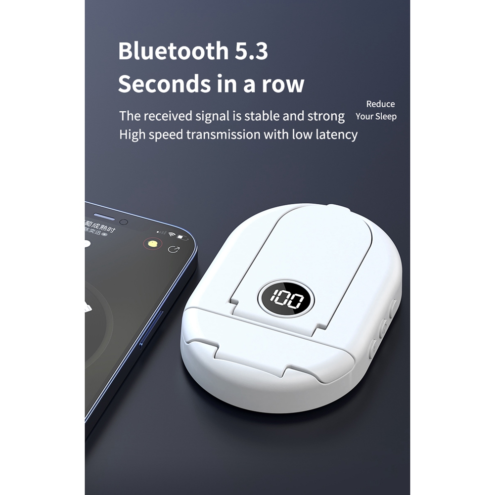 BTLIFE-5.3 Bluetooth Sleep Spe - огляд і ціна Home Improvement Noise